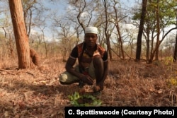 A Yao honey hunter presents a wax honeycomb to honeyguide on a bed of leaves