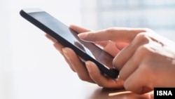 Phone User Social Media Texting Telegram 