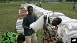 Distribution d’aliments aux déplacés dans la ville de Rutshuru, à 70 km au nord de Goma, dans l'est du Congo, 14 novembre 2008. (AP photo / Karel Prinsloo)
