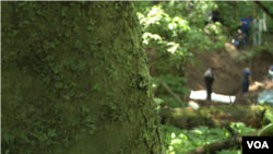 Masovna grobnica pronađena je na planini Igman u blizini Sarajeva.