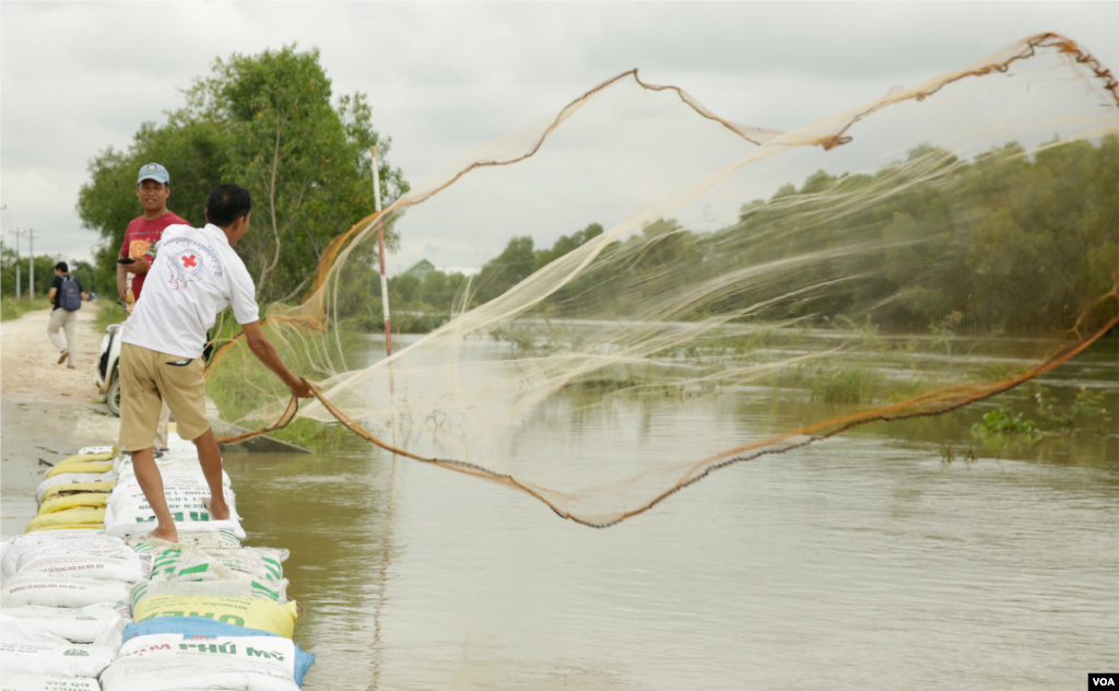 A man casts his fishing net out into a flooded tributary to the Prek Thnaot River that has flooded the Prek Kampeus commune, Dangkoa district, Phnom Penh, Cambodia, on Oct. 14, 2020. (Malis Tum/VOA Khmer)
