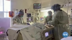 Kasalxonalarda qo’shimcha ishchi kuchiga zarurat tug’ilmoqdami?