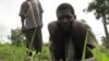 A laborer tends to a field in the Central African Republic, despite his affliction with river blindness. (File)