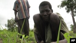 A laborer tends to a field in the Central African Republic (File)