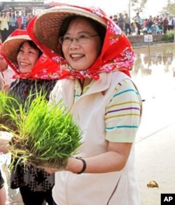 蔡英文主席下农村