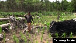 ប្រជាពលរដ្ឋ​ជនជាតិ​ភាគ​តិច​ទំពួន រស់នៅ​ស្រុក​អណ្តូង​មាស ខេត្ត​រតនៈគីរី ដែល​ទទួល​រងគ្រោះ​ដោយ​សារ​ការ​គម្រោង​ដី​សម្បទាន​សេដ្ឋកិច្ច​របស់​រដ្ឋាភិបាល​ជាមួយ​នឹង​ក្រុមហ៊ុន​ឯកជន។ (Courtesy Photo)