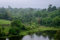 FILE - A view of Khao Yai National Park, 130 kilometers north of Bangkok, Thailand, March 22, 2021.