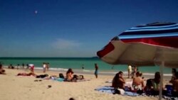 Florida Officials Call for Federal Aid to Fight Zika Spread