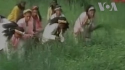 Aseesaa- Sirba Qaameetti Shamarran Sirban