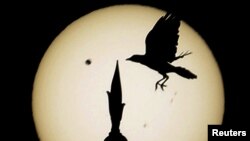 A reflection of Venus passing the sun is projected on paper Wednesday at the University of Bahrain