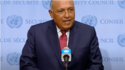 የግብጽ የውጭ ጉዳይ ሚኒስትር ሳሚ ሽኩሪ/የተባበሩት መንግሥታት ድርጅት ገፅ ላይ የተወሰደ ስክሪን ቅጂ