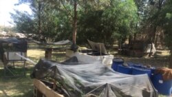 ሚንስትሪ ሕርሻ ኤርትራ (ኣኳፖኒክስ)ሕርሻ ማይ ከምዘተኣታተወ ገሊጹ