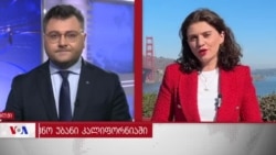 ქართველი ემიგრანტების წინასაარჩევნო გამოწვევები ამერიკაში