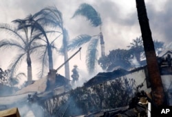 A firefighter stands under windswept palm trees as he hoses down smoldering debris in Ventura, California, Dec. 5, 2017.
