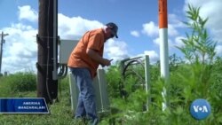 AQShning internet yetib bormagan qishloqlari