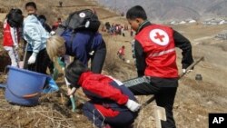 지난해 4월 북한 구장군 용천리에서 적십자 직원들이 식목 삭업을 벌이고 있다. (자료사진)