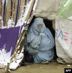 Afg'onistonda o'nlab bola sovuqda nobud bo'lgan