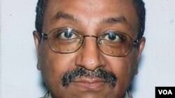 ፕሮፌሰር ብሩክ ኃይሉ