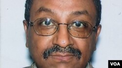 ፕሮፌሰር ብሩክ ኃይሉ