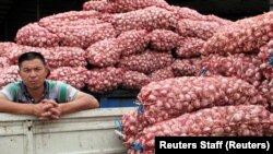 A man is seen between trucks loaded with garlic at a market in Jinxiang county in eastern Shandong province June 1, 2016. REUTERS/Jessica Macy Yu