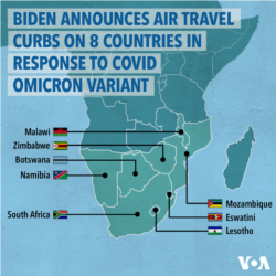 Omicron US Restrictions