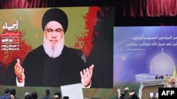 همآیشی از هواداران گروه حزب الله لبنان