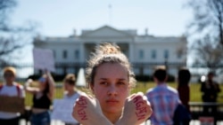 Quiz - US Universities Won't Punish Students for Protesting Gun Violence