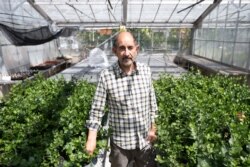 Ricardo San Martin, a Chilean expert on the Quillay soapbark tree.