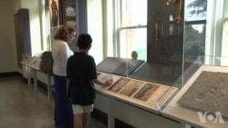 回首“露西”：古人类化石传递的有力讯息