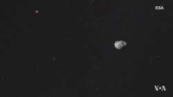 'Insect Vision' Hunts Down Asteroids