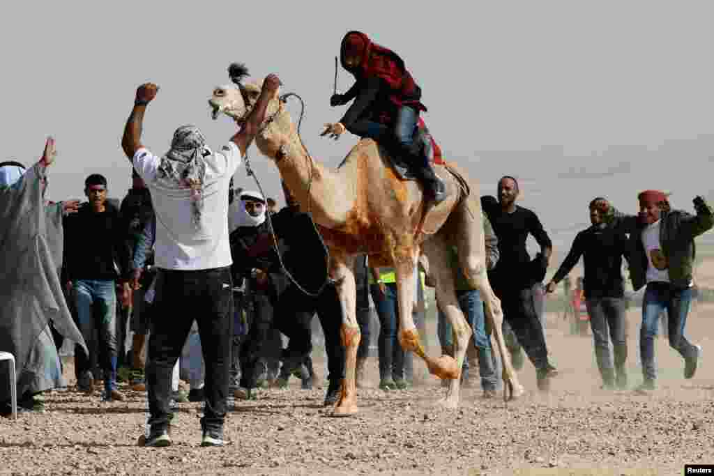 A man rides on a camel as members of Israel's Bedouin Arab minority and other Israelis race camels as part of an initiative to help preserve Bedouin culture, near Ashalim in southern Israel.