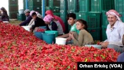 Pengungsi Suriah di Turki, 21 September 2019. (Foto: VOA)