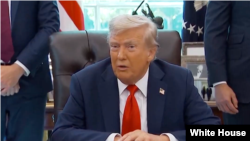 دونالد ترامپ - آرشیو