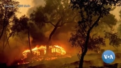 ชุมชนไทยในแคลิฟอร์เนียกับผลกระทบไฟป่าครั้งใหญ่