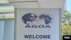 Réunion sur la loi sur la croissance et les opportunités en Afrique 2014 Washington DC (Photo Joao Santa Rita)