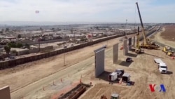 Tramp: Immigratsiya tizimini isloh qilish vaqti keldi