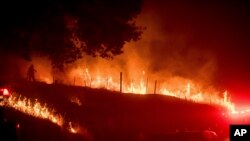 Qurbon hayitga tayyorgarlik. Pichoqlar charxlanmoqda. G&#39;azo sektori.