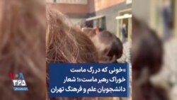 «خونی که در رگ ماست خوراک رهبر ماست»؛ شعار دانشجویان علم و فرهنگ تهران