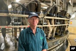 Peternak sapi perah Aidan Bichan di Kaiwaiwai Dairies, Featherston, Selandia Baru. 2 November 2022. (AP/Nick Perry)