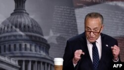 چک شومر، رییس اکثریت دموکرات در مجلس سنای امریکا