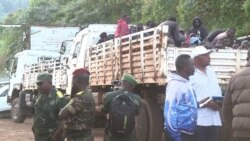 1.600 bayi mabota ya ba CNRD (FLDR) bazongisami Rwanda