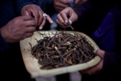 FILE - Buyers check the quality of cordyceps, a fungus believed to possess aphrodisiac and medicinal powers, at a cordyceps trade market in Hainan Tibetan Autonomous Prefecture, in China's western Qinghai province, June 10, 2019.