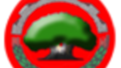 Duula Farra Dhukkuba Vaayrasii Koronaa