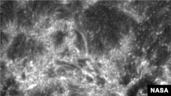 Still image from the first IRIS movie, 21 hours after opening the door.