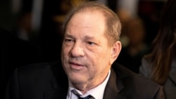 هاروی وینستین