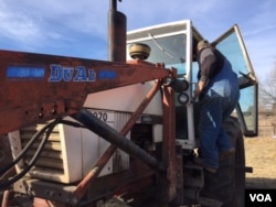Gary Steele raises 250 head of beef cattle, along with his 400 hectares of hay. (C. Presutti/VOA)