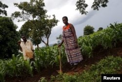 FILE - Malawian subsistence farmers Simon Sikazwe, left, and Cecelia Kazibuta stand beside communal maize fields in Dowa near the capital Lilongwe, Feb. 3, 2016.