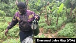 Le champ de Timothy Musoro Ngo à Yaoundé, Cameroun, le 10 décembre 2018. (VOA/Emmanuel Jules Ntap)