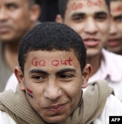 Qohira, 1 fevral 2011