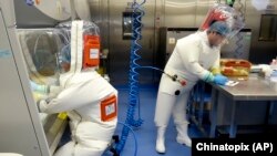 In this photo taken Thursday, Feb. 23, 2017, researchers work in a lab of the Wuhan Institute of Virology in Wuhan